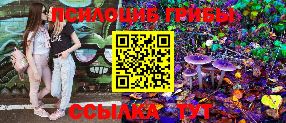 Галлюциногенные грибы мухоморы Новокузнецк