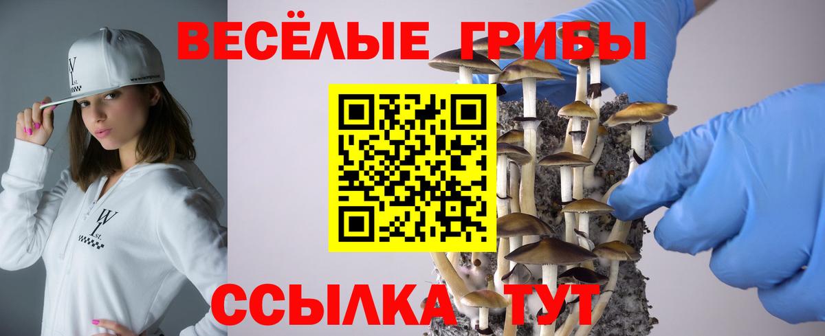 Псилоцибиновые грибы мухоморы  наркотики  Новокузнецк  Вход с VPN 